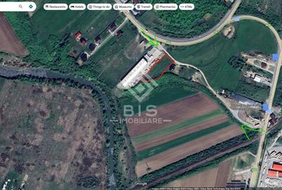 Teren Construcții intravilan de 2500 mp, în Viișoara - 11