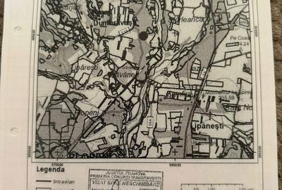 Teren de 1000 mp, în Dumbrăvești - 4