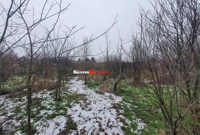 Casă cu 3 camere cu Teren 9504 Mp în Poclușa de Barcău - 5