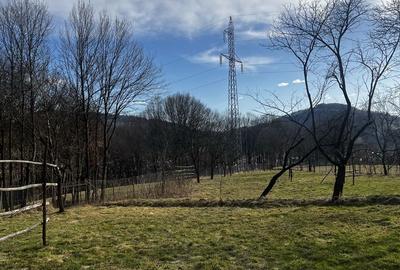 Casă cu 3 camere în Vișeu de Jos - 8