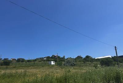 Teren intravilan, 1155mp - zona Antibiotice, la 300m de soseaua principala DN28 - 4