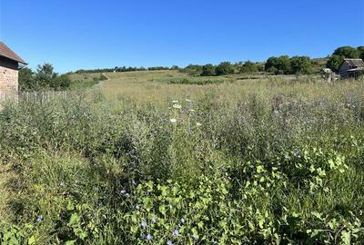 Teren Construcții intravilan de 8700 mp, în Pata - 1