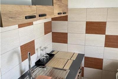 Garsoniera confort 1, 4/nivel zona Aradului - Mall - 3
