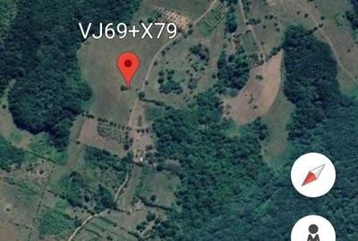Teren de 35400 mp, în Sfodea - 8