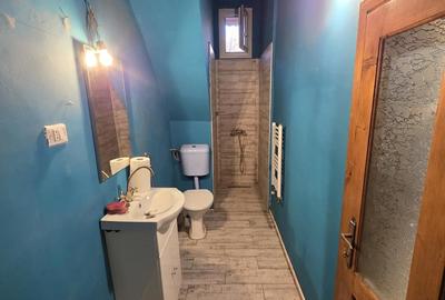 Garsonieră semidecomandată în Iosefin - 8