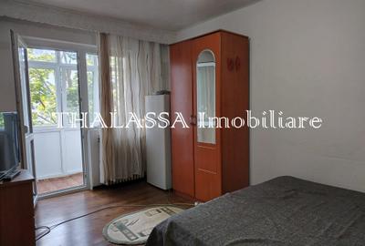Garsonieră semidecomandată în Craiovița Nouă - 1