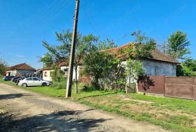 Vand casa in jude?ul Arad - 2