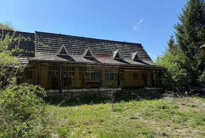 Casa de vancata Bucsoaia - 31