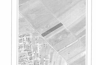 Teren în Ciorogârla - 3