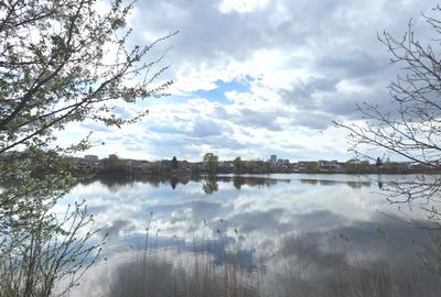 Apartament cu 3 camere, mobilat în Pantelimon - 14