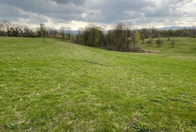 Spațiu comercial, în Central - 5