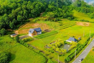 Casă cu 7 camere cu Teren 6370 Mp în Groși - 7