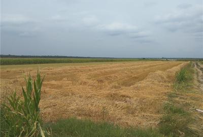 Teren de 3600 mp, în Moara Vlăsiei - 5