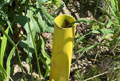 Spațiu comercial, în Bistrița - 4