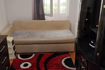 Apartament cu 2 camere decomandat în Mureșeni - 5
