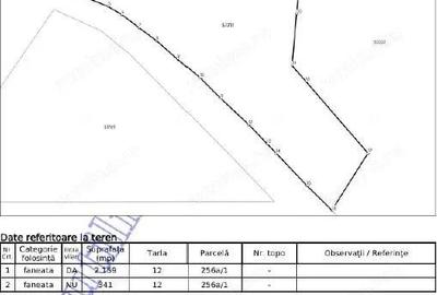 Teren de 2500 mp, în Români - 2