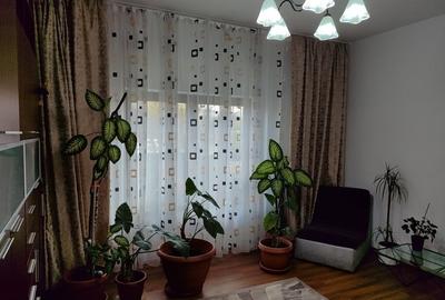 Apartament 2 camere, situat in vila, Grigorescu - 4