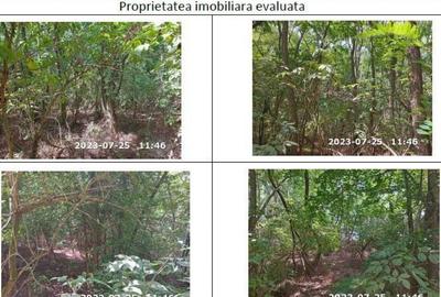 Teren extravilan padure, cota parte de 1/48 Horgesti, ID:... - 4