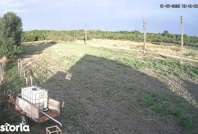 Teren de 2500 mp, în Poiana Lacului - 1