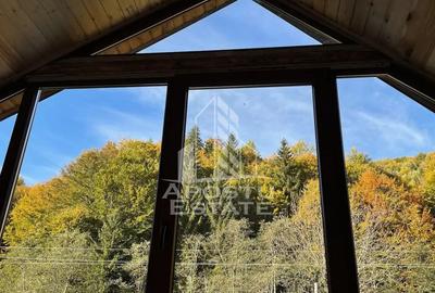 Cabana de inchiriat in Apuseni, Ciubar, Fara vecini, Fois... - 4