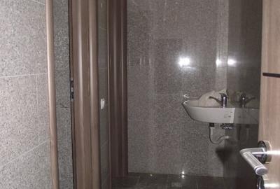 Inchiriez spatiu comercial cu alimentatie publica,Calea Dumbravii, 225mp,open - 6