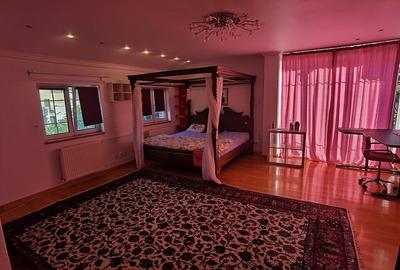 Casă individuală cu 9 camere cu Canalizare în Iancu Nicolae - 16