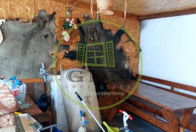 Casa 4 camere suprafata utila 126mp, teren 1600mp, spre vanzare in Seica Mare - 17