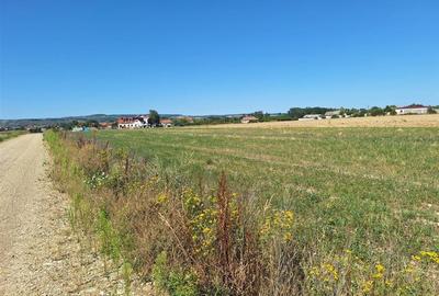 Teren Construcții intravilan de 728.17999267578 mp, în Oșorhei - 4