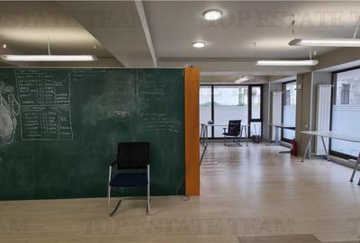 Birou/Apartament 4 camere cu gradina, zona Cismigiu - 6