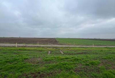 Spațiu comercial, în Berceni - 2