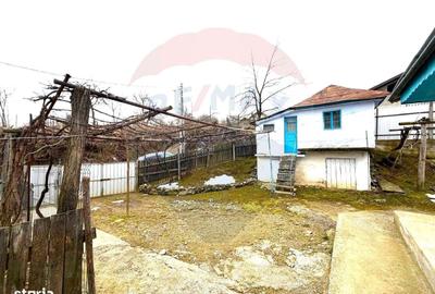 Casă cu 3 camere în Lespezi - 2