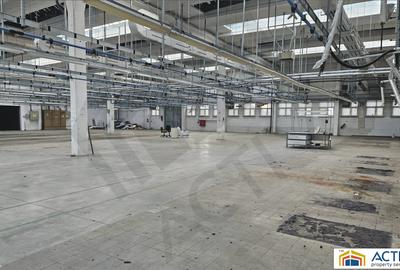 Hala de inchiriat Cisnadie Sibiu - 2