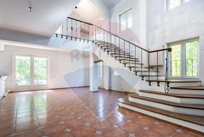 Spațiu comercial, de 474 mp, în Snagov - 8