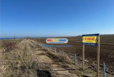 Teren intravilan 47.400 mp, Vama Veche, 200 m de Marea Neagr - 2