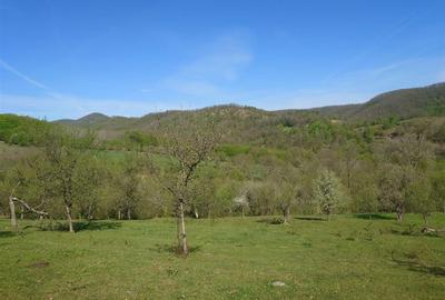 Teren intravilan de 11423 mp, în Luncoiu de Jos - 17