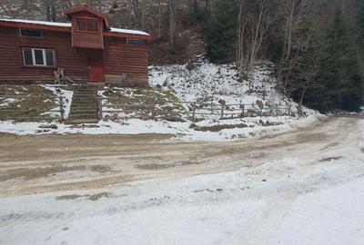 Casă cu 3 camere în Central - 6