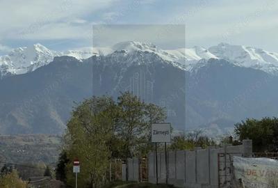 Apartament spa?ios 3 camere, bloc nou Zarne?ti - 6