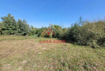 Teren intravilan in Poiana Campina 4285 mp parcelabil 11,6e - 5