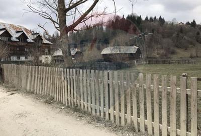 VANZARE Teren intravilan 3350 mp Podu Dambovitei ARGES - 6