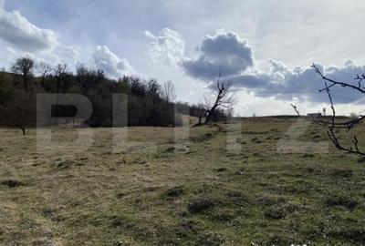 Teren de 7500 mp, în Central - 4