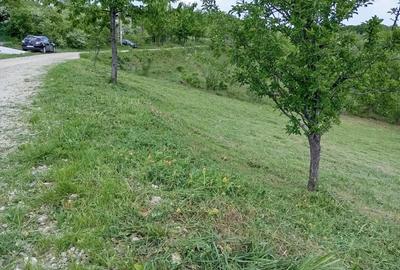 Teren de 1371 mp, în Cotmenița - 2