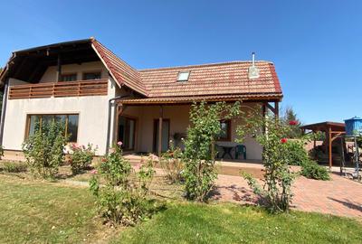 De vanzare casa individuala cu teren Gruiu , Calarasi ,Budesti - 5