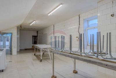 Spațiu comercial, de 308 mp, în Bod - 3