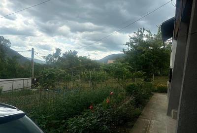 Casa, 4 camere, 125000 euro, Nehoiu , 120 Mp, 2000 mp teren. - 15