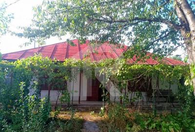 Casă cu 2 camere cu Teren 670 Mp în Lipia - 1