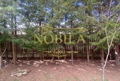 Casă cu 10 camere cu Teren 1332 Mp în Mănăstirea Cașin - 2