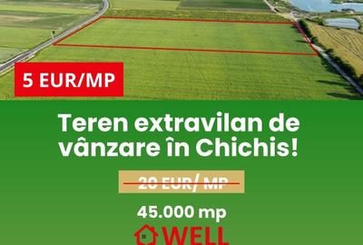 Teren agricol extravilan de 45000 mp, în Chichiș - 7
