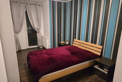Apartament cu 2 camere decomandat în Micălaca - 3