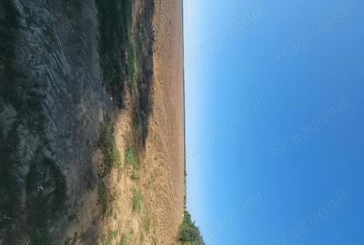 Teren de 250000 mp, în Comana - 10