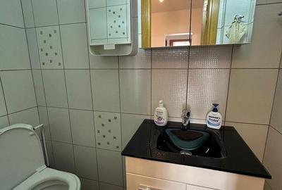 Apartament cu 3 camere decomandat în Kiseleff - 17